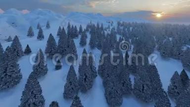 森林<strong>纹</strong>理。 圣诞树。 蓝色背景。 冬季的背景。 圣诞卡。 天空之蓝。 <strong>冰</strong>冻<strong>冰</strong>的质地